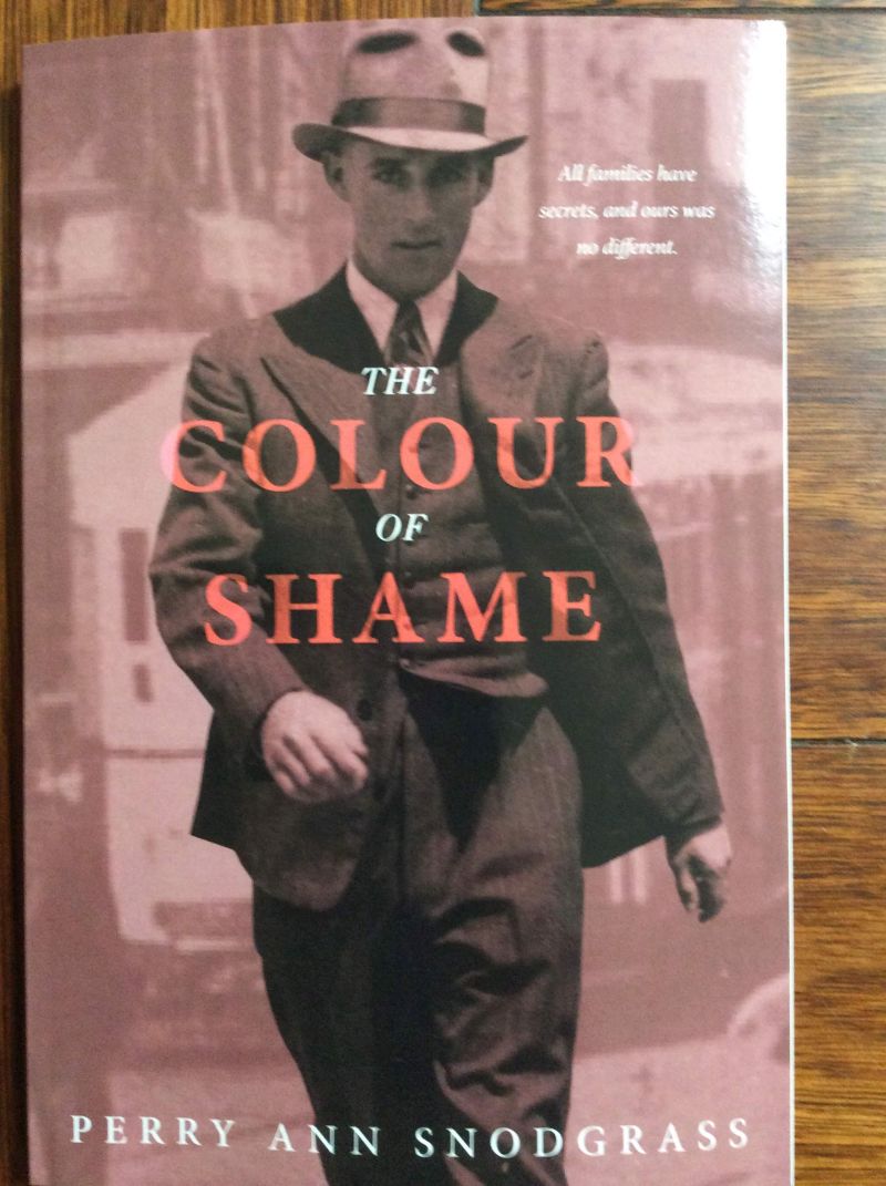 The Colour of Shame book cover