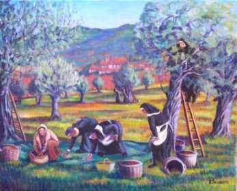 Olive Harvest